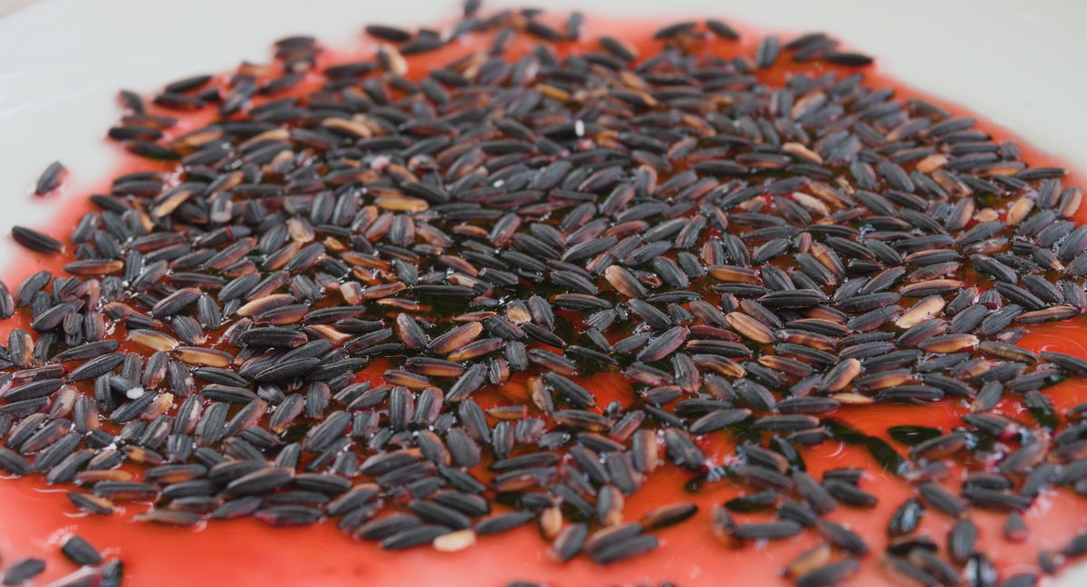 verify the authenticity of black rice with the vinegartest